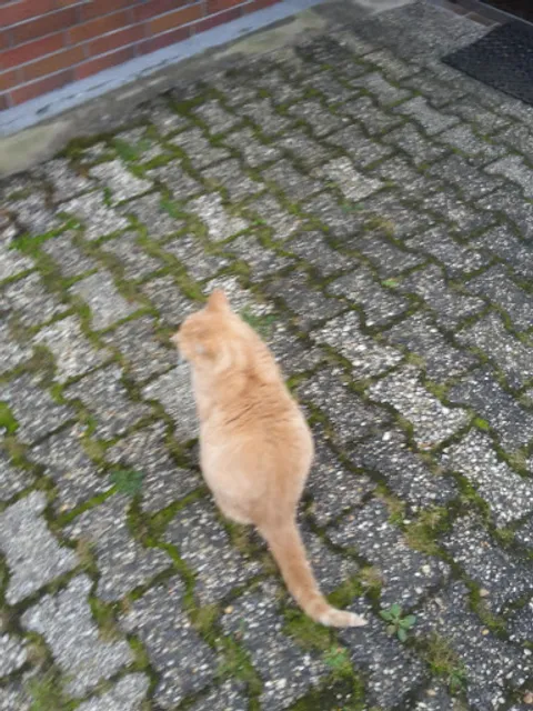 Hübinger Treff Gasthof Zimmer