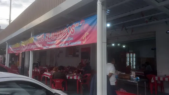 Los Flamingos