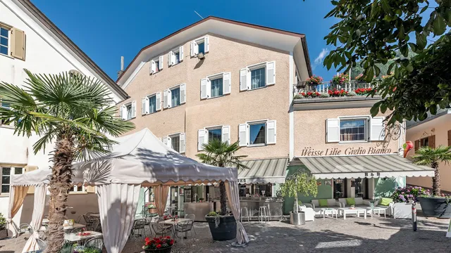 Hotel Weisse Lilie - Mühlbach - B&B