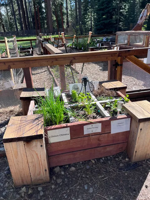 Camp Richardson's Ice Cream Parlor