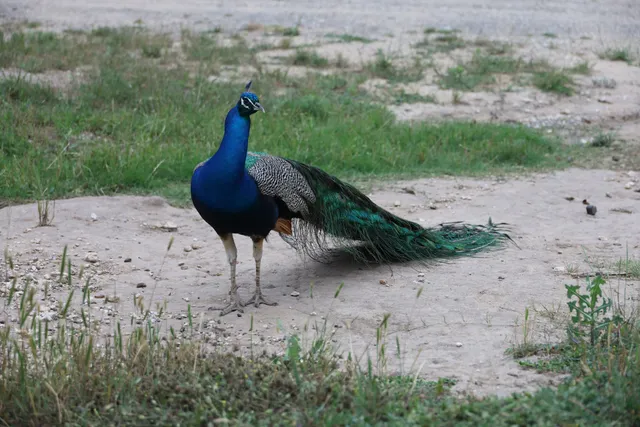 Guadalupe Canoe Livery