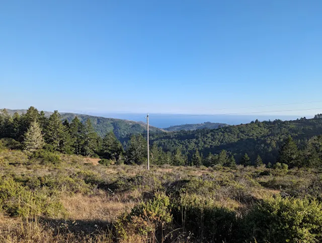 Dipsea Trailhead