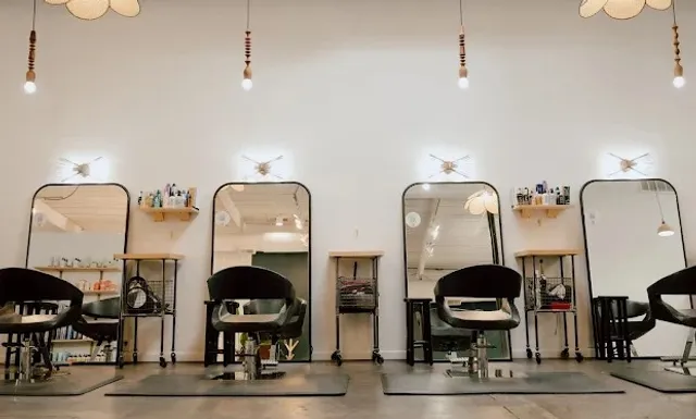 dsm salon