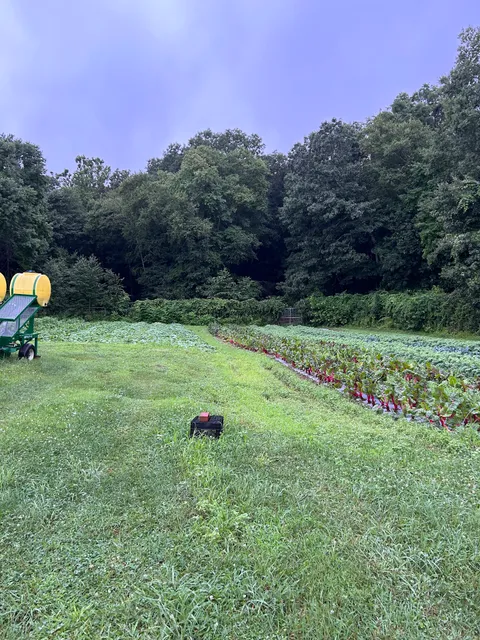 Shortt's Farm and Ice Cream