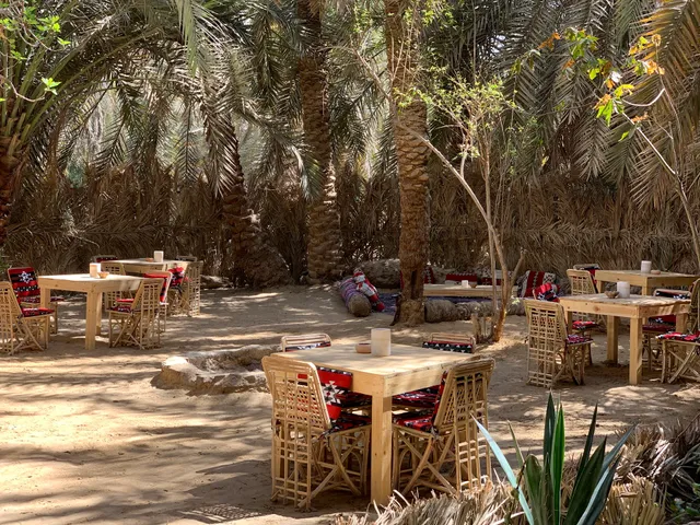 OLA restaurant مطعم عُلا