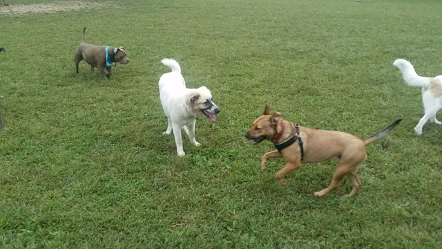 Rowayton Community Center