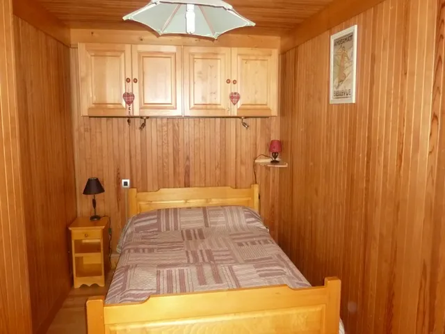 bellevue les saisies