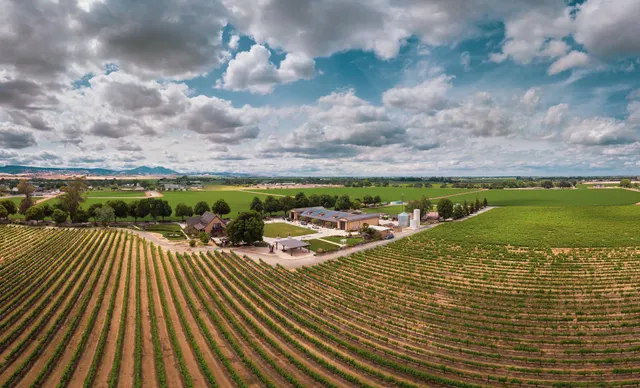 Campos Family Vineyards