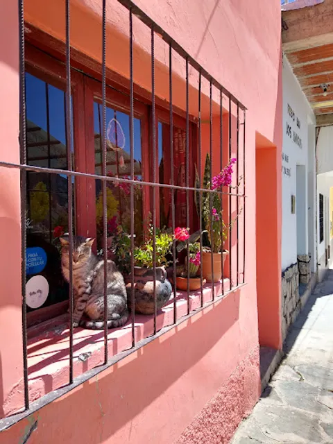 Comedor Los Cachis Iruya