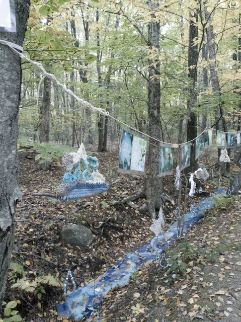 Center Trail Hopkinton