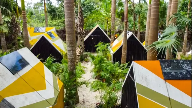 Bufo Alvarius Sanctuary