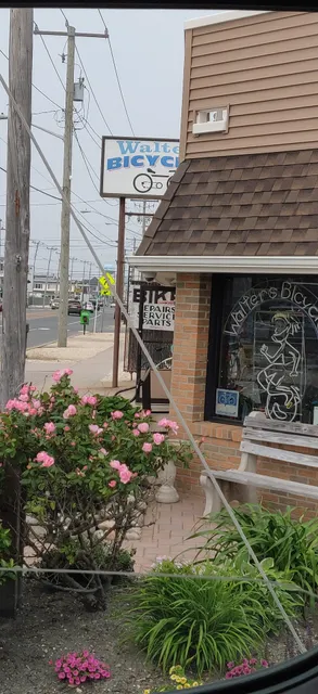 Walters Bicycles & Pedego Long Beach Island