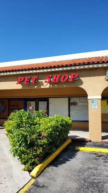 BubaPet - Pet Store