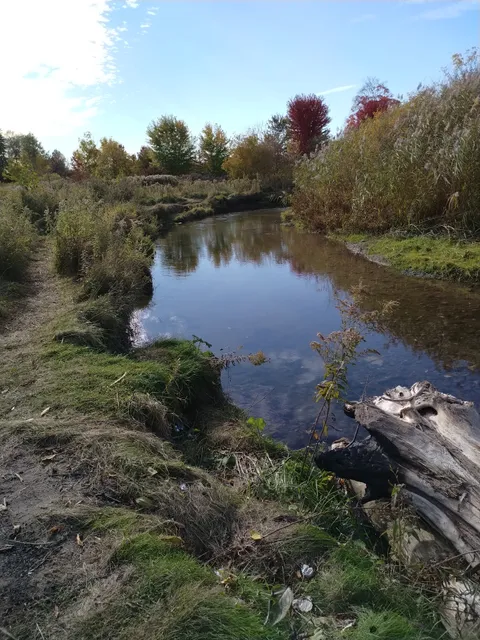 Bowmanville Creek
