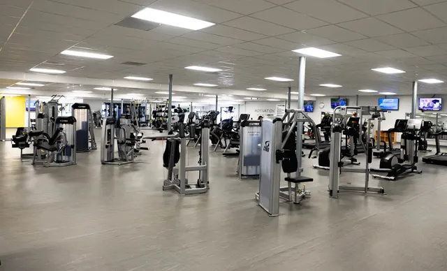 Dynamic Fitness - Sulphur