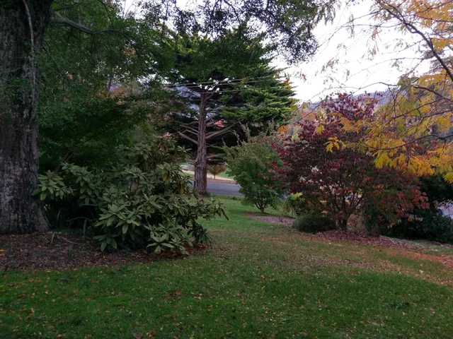 Forest Lodge Chalets