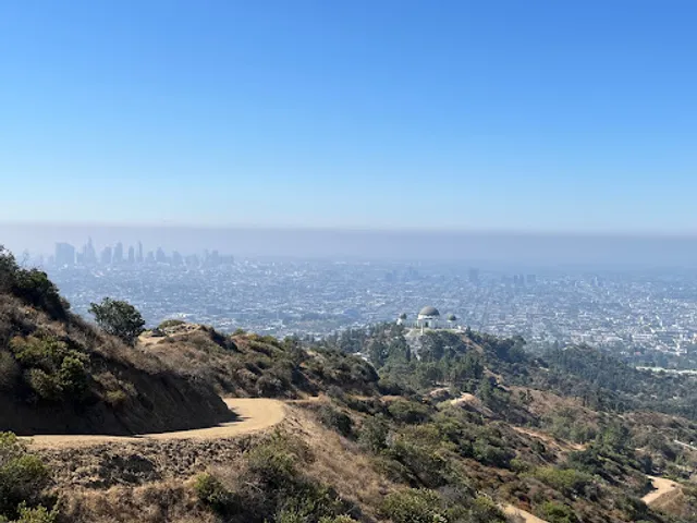 Mt Hollywood