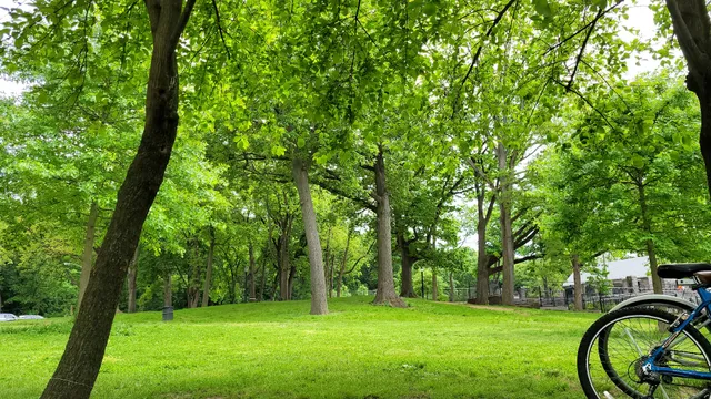 Cunningham Park Bike Trail