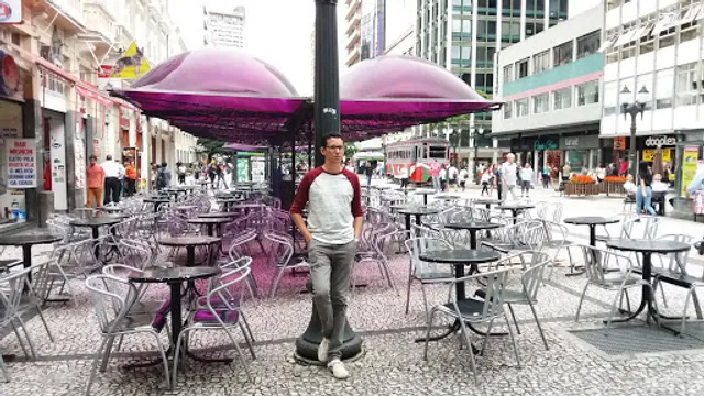 Bob's Burger - Drive Sítio Cercado