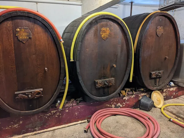 Vins d'Alsace Ch. TAPPE & fils . Gîte Kaysersberg Vignoble