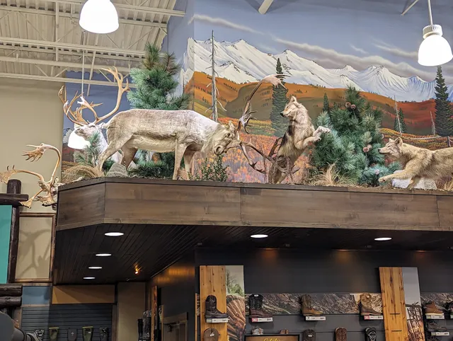 Bass Pro Shops/Cabela’s Boating Center