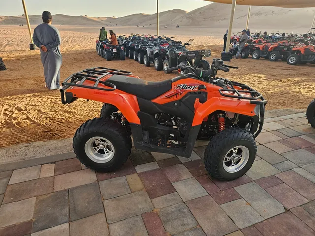 Desert Safari Dubai | Dubai Safaris