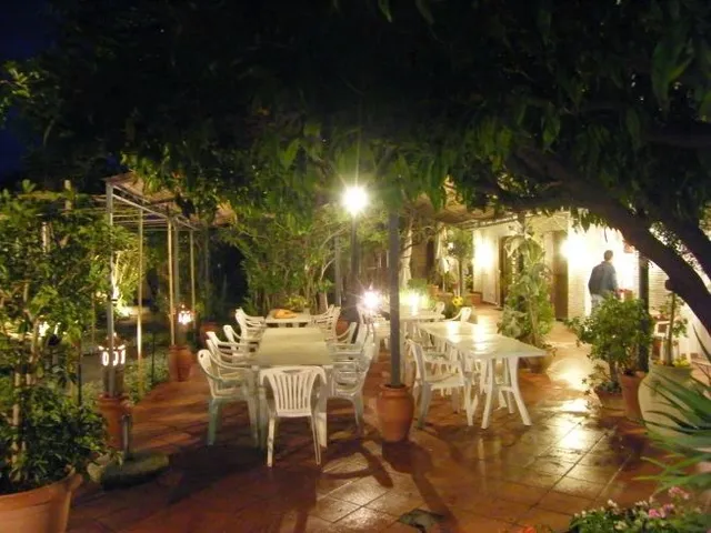 Agriturismo Terre di Mare - Agriturismo, Camere, Sanremo, Bordighera