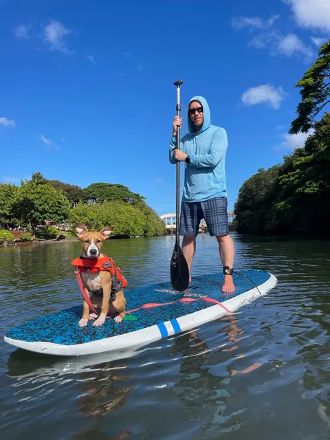 SUPDog Hawaii