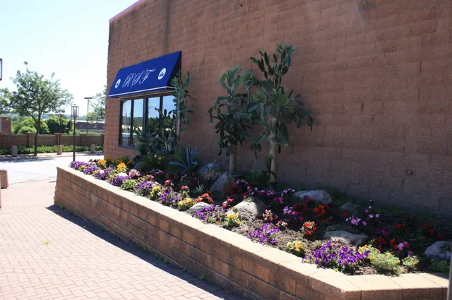 Royal Star Weekend Outlet