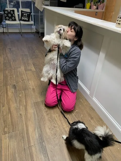 Mitchell Veterinary Hospital