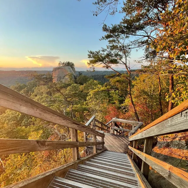 The Hive at High Rock - Unique Stays, Massage and Immersive Thermal Spa