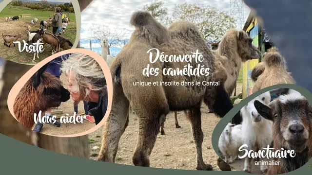 FERME PÉDAGOGIQUE LA PRAIRIE DES ANIMAUX Découverte d'animaux insolites