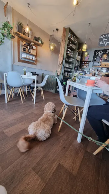 Dog and Co Coffee and Booze
