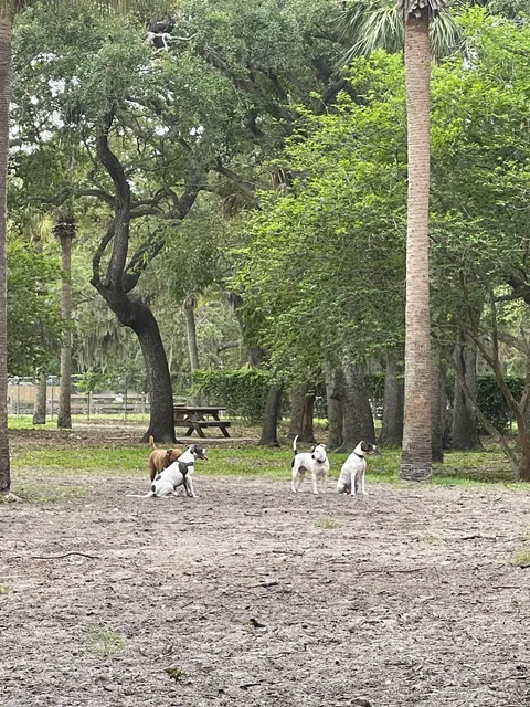 Happy Tails Dog Park