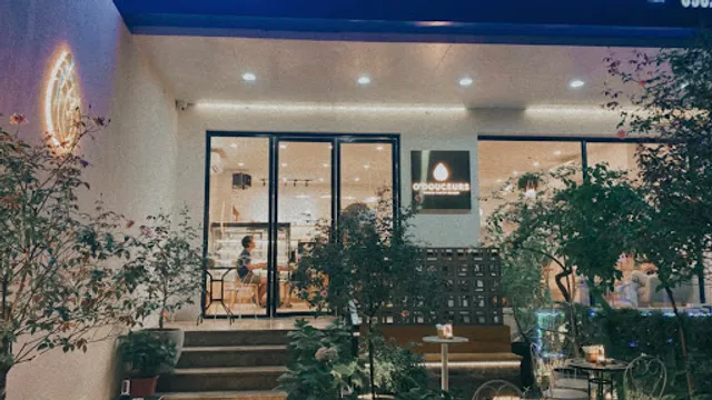 O'douceurs French Pastry Bakery