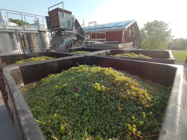 Hunt Country Vineyards