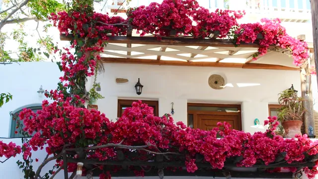 Cycladic Home Mykonos