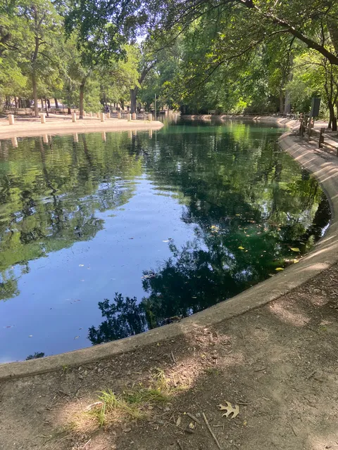 Trinity Park Duck Pond