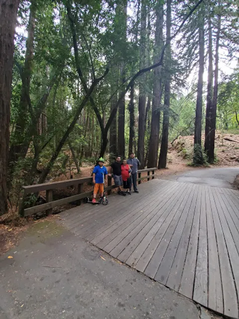 Redwood Picnic Area, Huddart Park