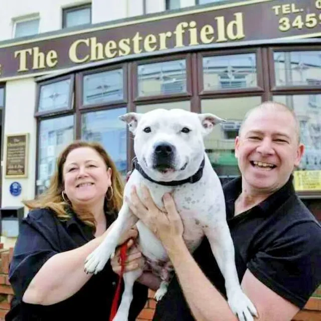 The Chesterfield Pet Friendly B&B
