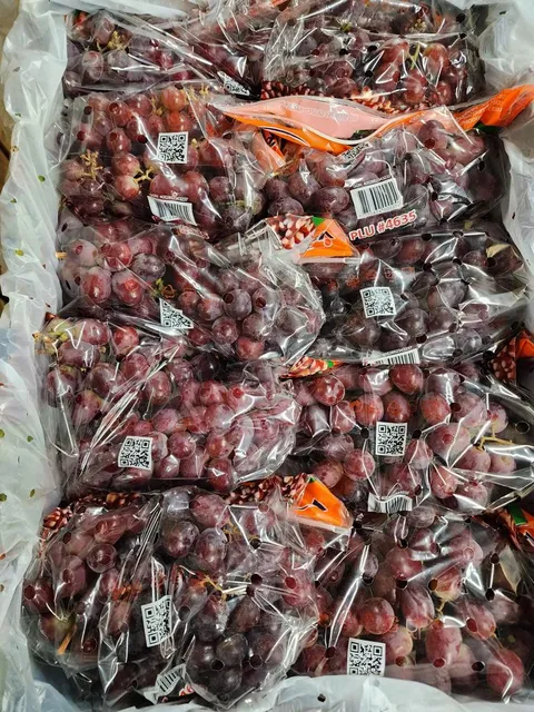 OSCAR'S PRODUCE, Fruit & Vegetable Wholesale Distributor