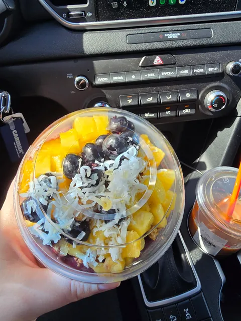 The Lighthouse Project