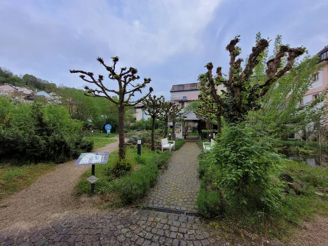 photo-2