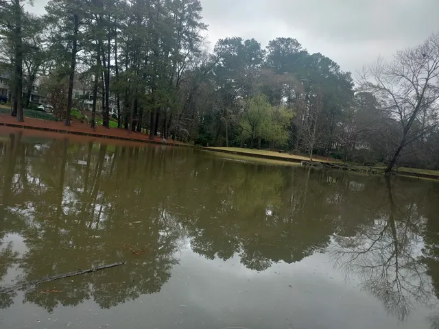 Duck Pond