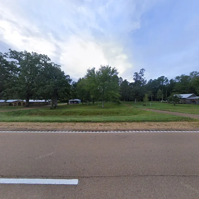 The Wild Flower Heart