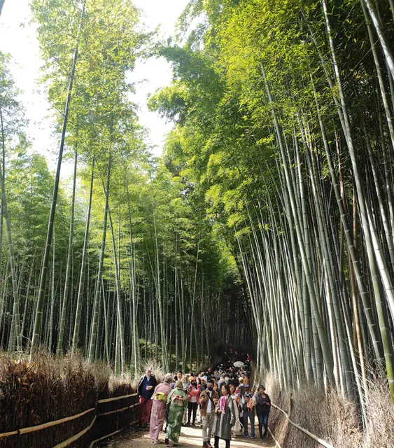 Kameyama Park Monument Path