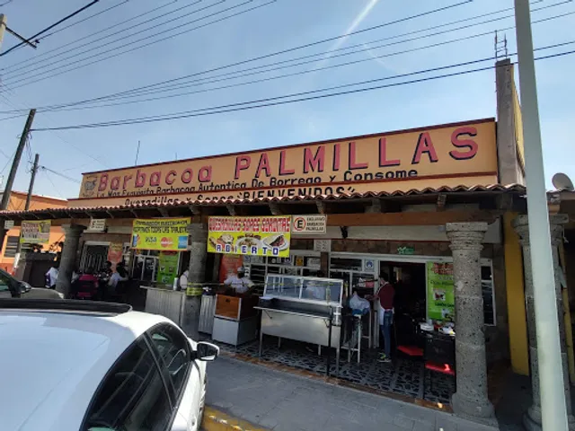 Barbacoa "Palmillas"