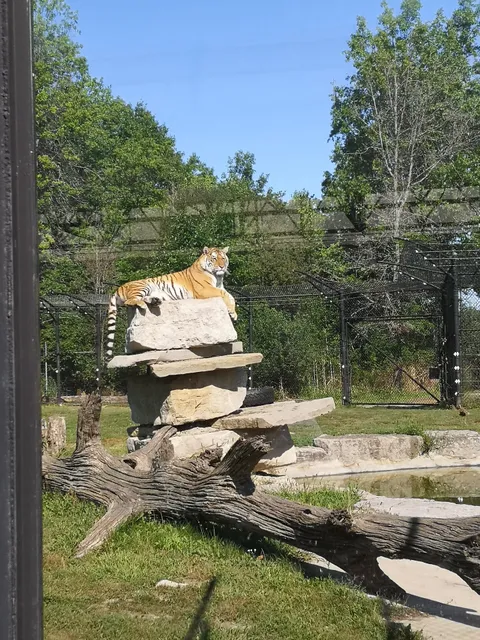 Splash pad inside Safari Niagara