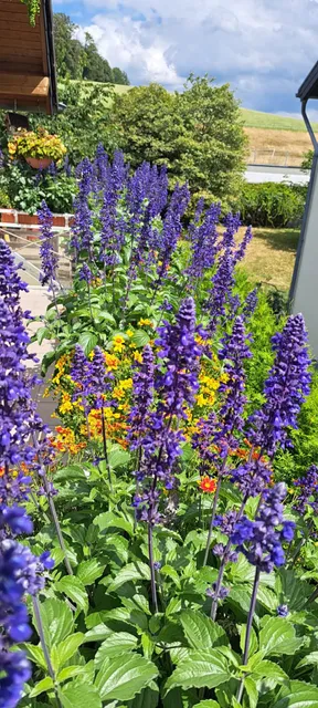 Apartments Fröhling