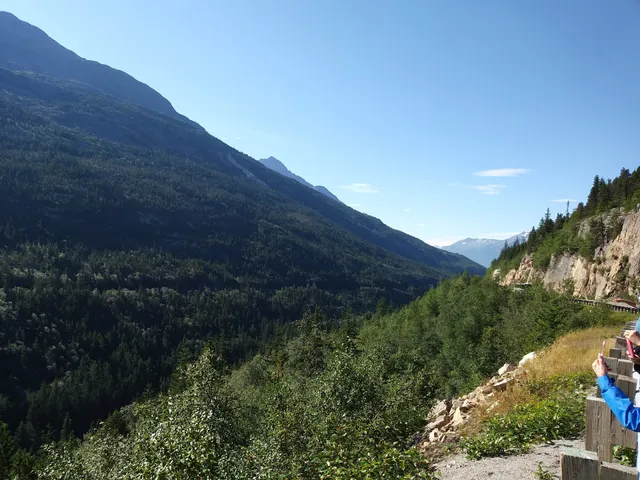 Alaska Mountain Guides Adventure Park and Zip Line